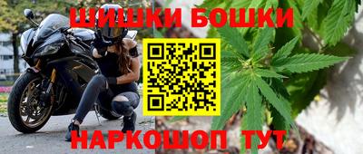 PSILOCYBIN Канаш