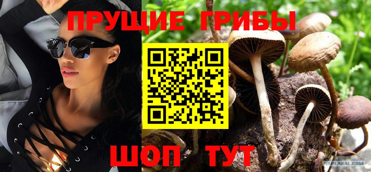 Псилоцибиновые грибы ЛСД  Вход с VPN  Донской 