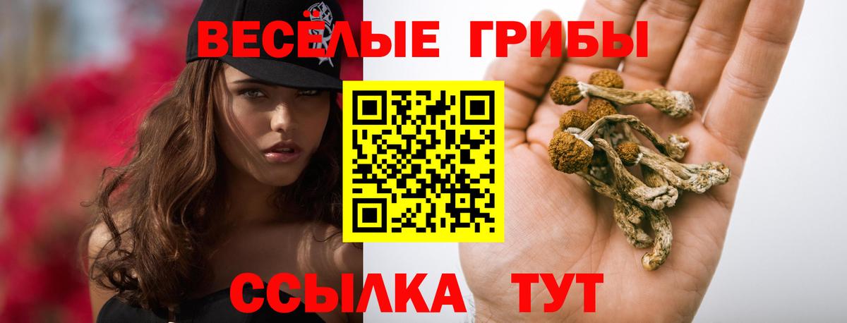 Галлюциногенные грибы GOLDEN TEACHER Донской